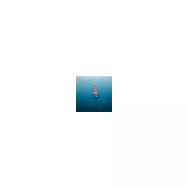 Iranian Cargo Ship Sinks in Caspian Sea En Route to Russia, 14 Rescued