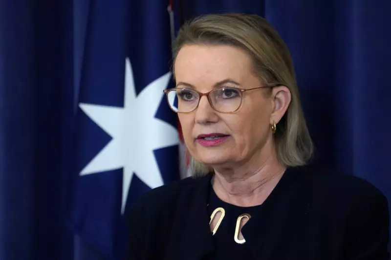 Liberal Rift Over Hate Speech and Gun Laws After Bondi Attack