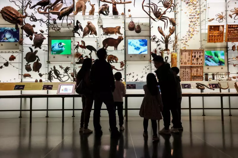 London February Half Term 2026: Key Dates and Family Activities