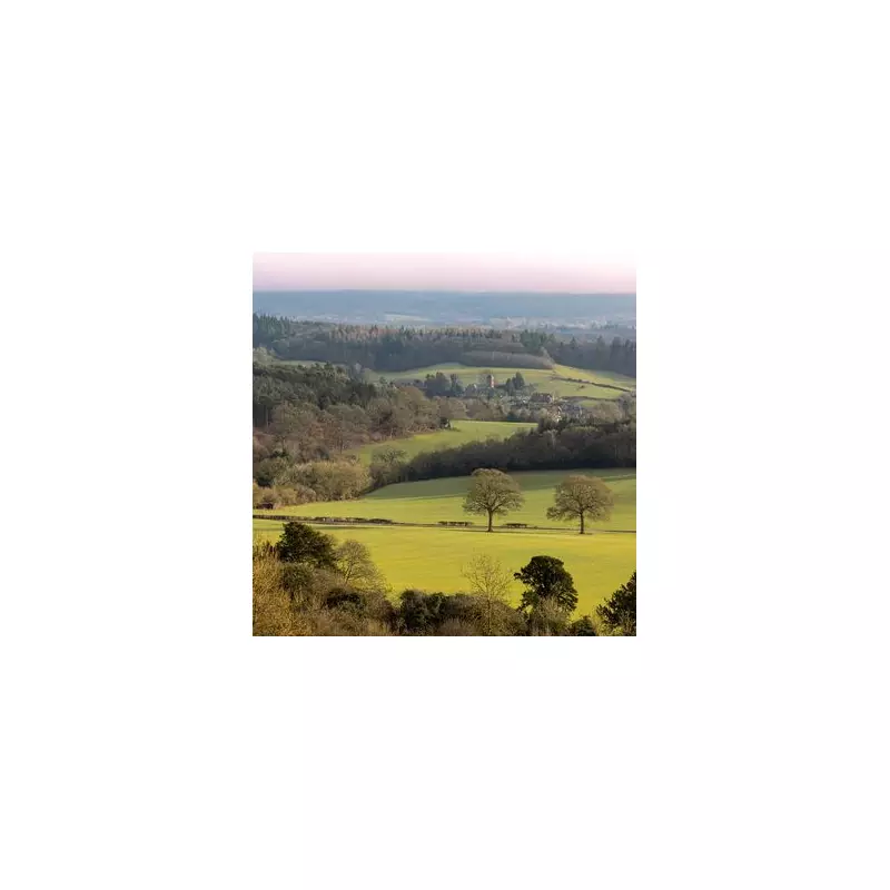 London's 465 Bus: A Red Route Through Surrey's Stunning Countryside