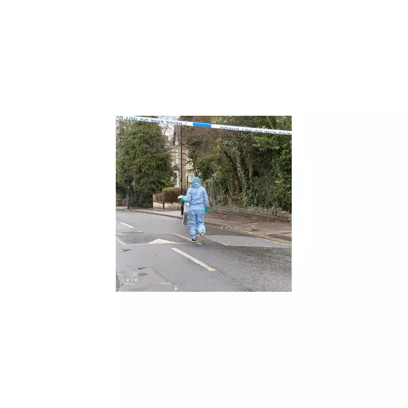 London's Grim 72 Hours: Multiple Stabbings, Murder Probe, and Child Fighting for Life