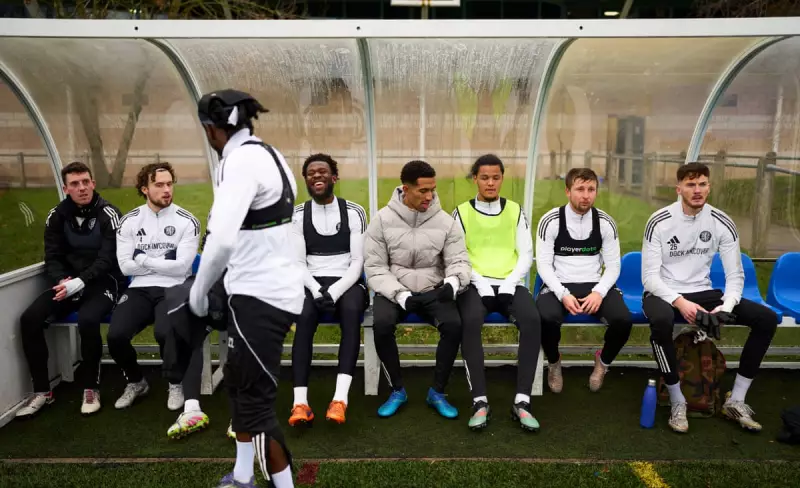 Macclesfield's FA Cup Dream: From Phoenix Club to Palace Showdown