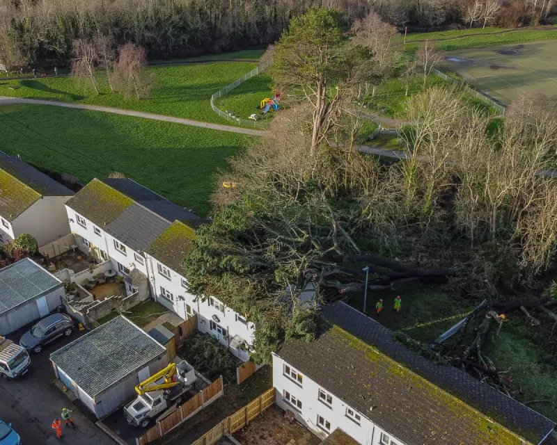 Man, 50, killed as Storm Goretti fells tree onto Cornwall caravan