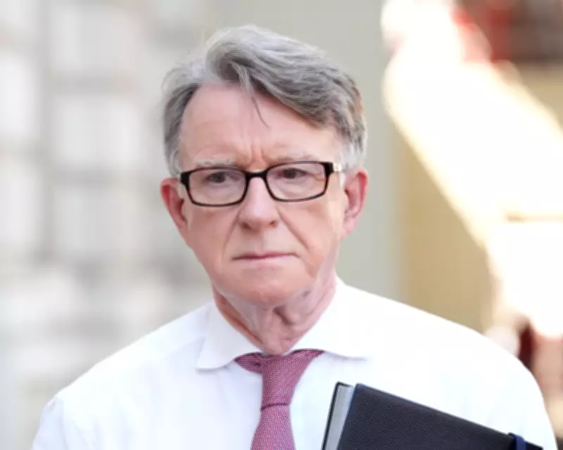 Mandelson's Husband Received Epstein Funds After Prison Release, Emails Show