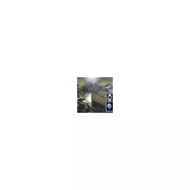 Masked Gang Wielding Sledgehammer Steals £1M Watch Collection in Nottinghamshire Home Raid