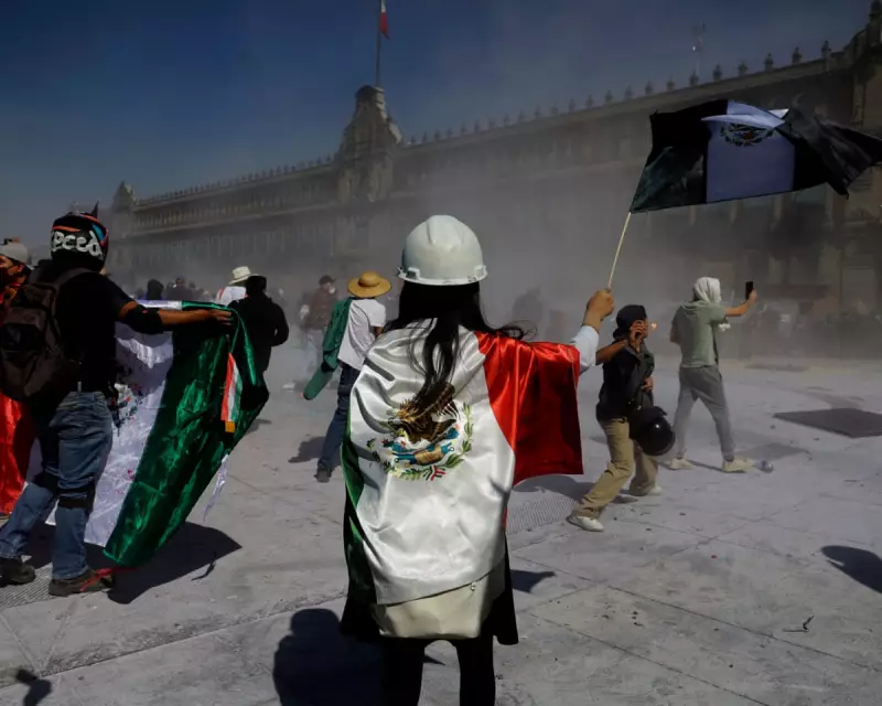 Mexico's Avocado Trade: Violence, Land Theft and the UK's Role