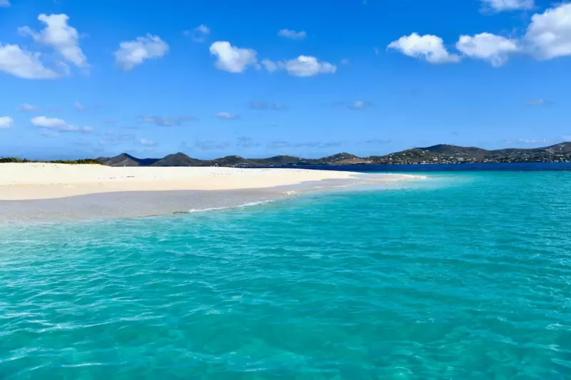 Minnesota Woman, 64, Dies in Shark Attack at US Virgin Islands Resort
