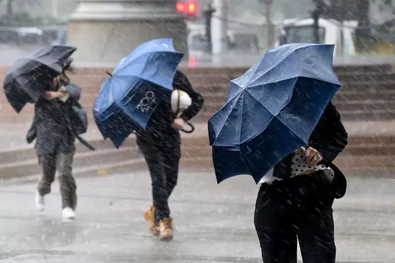 NSW and Queensland Brace for Severe Storms as Heavy Rain Batters East Coast