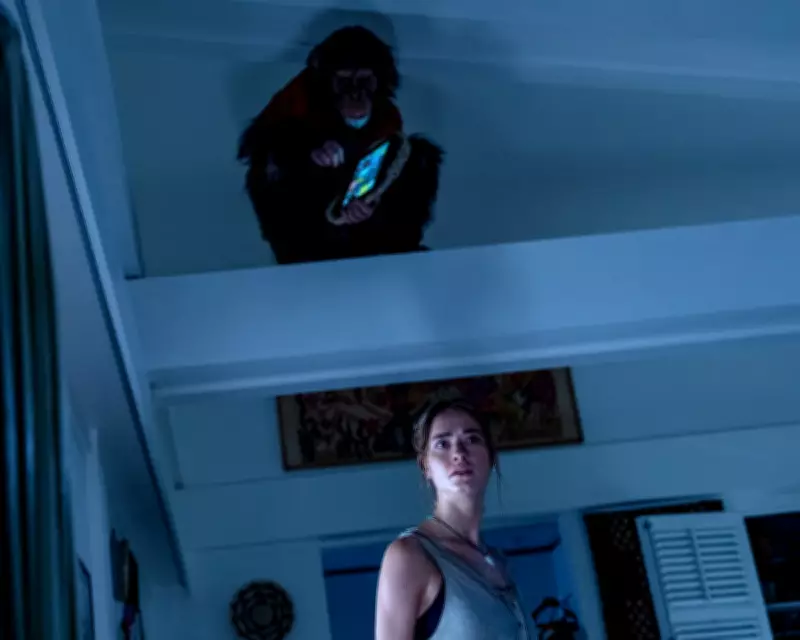 Primate to Tyler Ballgame: The Week's Top Culture Picks & Reviews