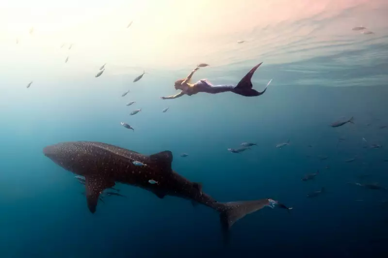 Professional Mermaids: The Ocean Ambassadors Facing Hypothermia for Conservation