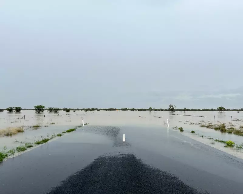 Queensland Floods: Travellers Ignore AI, Seek Local Wisdom as Towns Isolate
