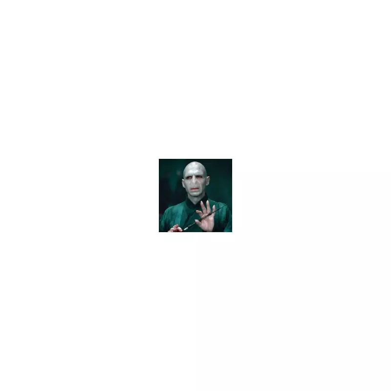 Ralph Fiennes' Red Carpet Slip Sparks Cillian Murphy Voldemort Casting Rumours