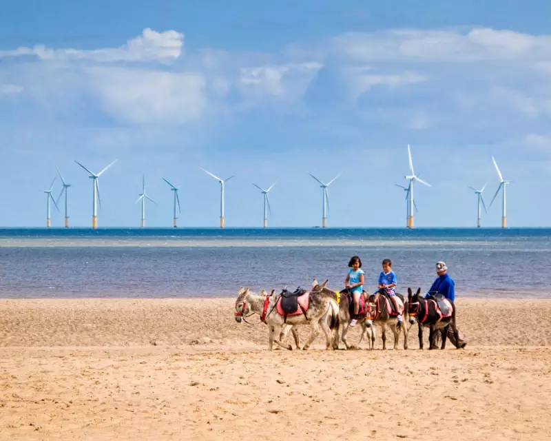 Record 8.4GW Offshore Wind Auction Fuels 12 Million UK Homes