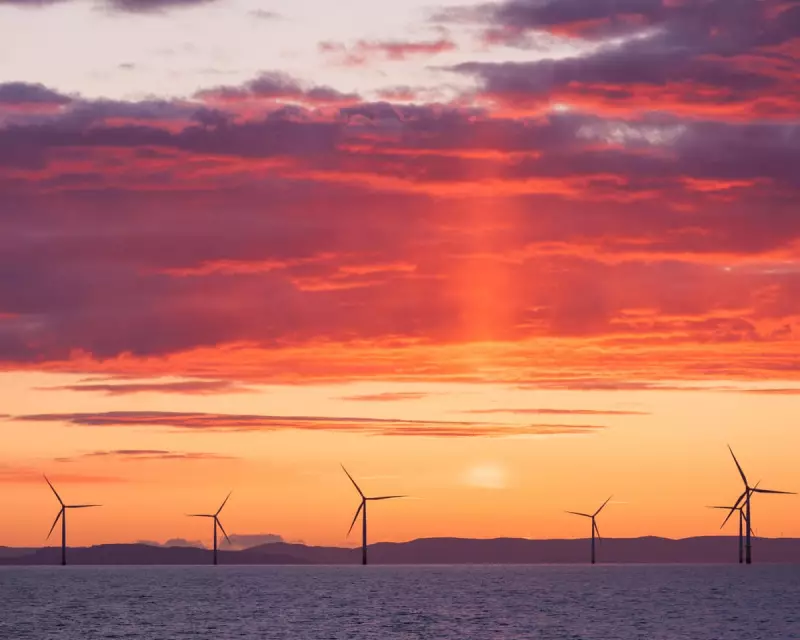 Record 8.4GW Offshore Wind Auction Proves Doubters Wrong, Says Miliband