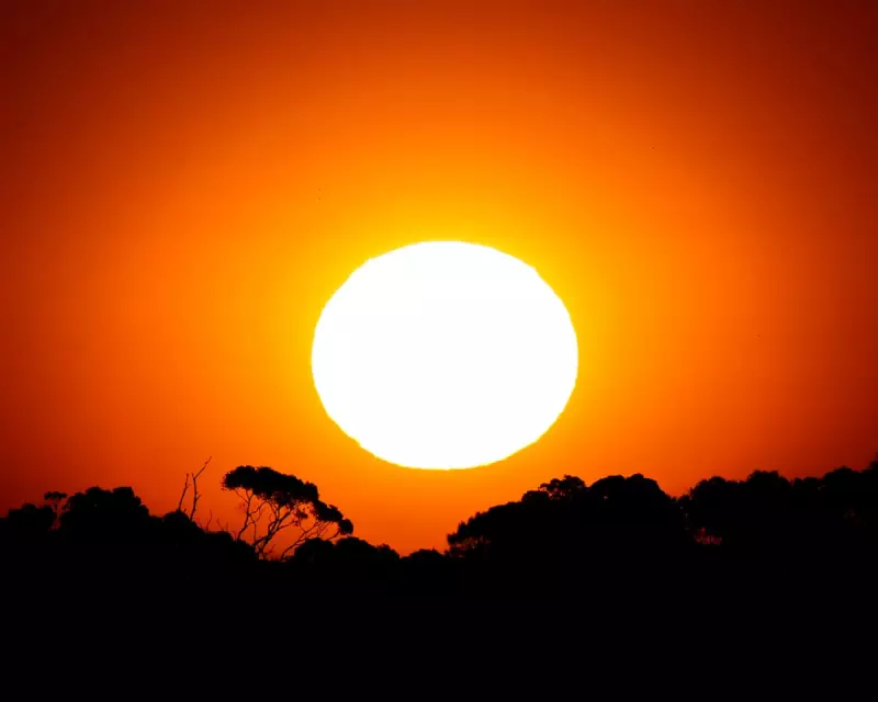 Renters Demand Minimum Standards as Heatwave Exposes Housing Crisis