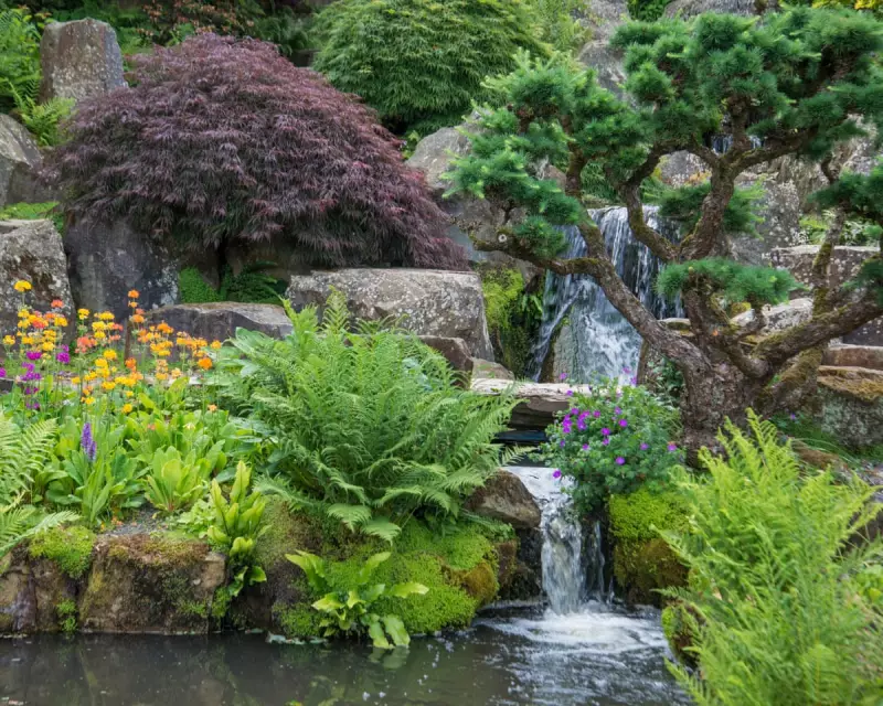 RHS Launches Emergency Water Strategy to Safeguard UK Gardens from Drought