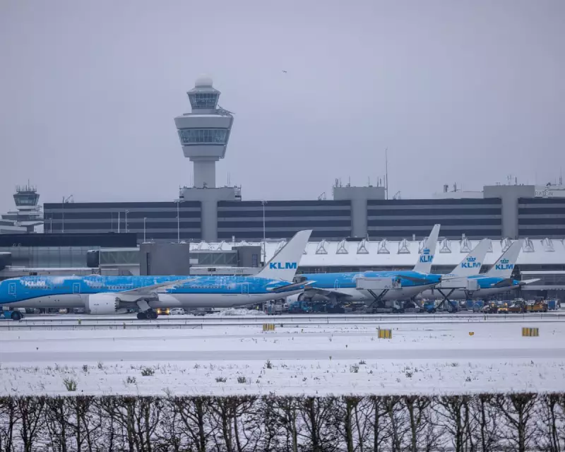 Schiphol Airport Cancels 700+ Flights as Winter Chaos Grips Europe