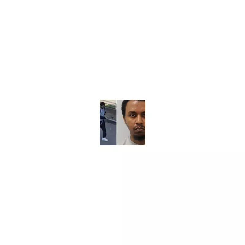 Schizophrenic man detained indefinitely for frenzied bus stop killing of grandmother