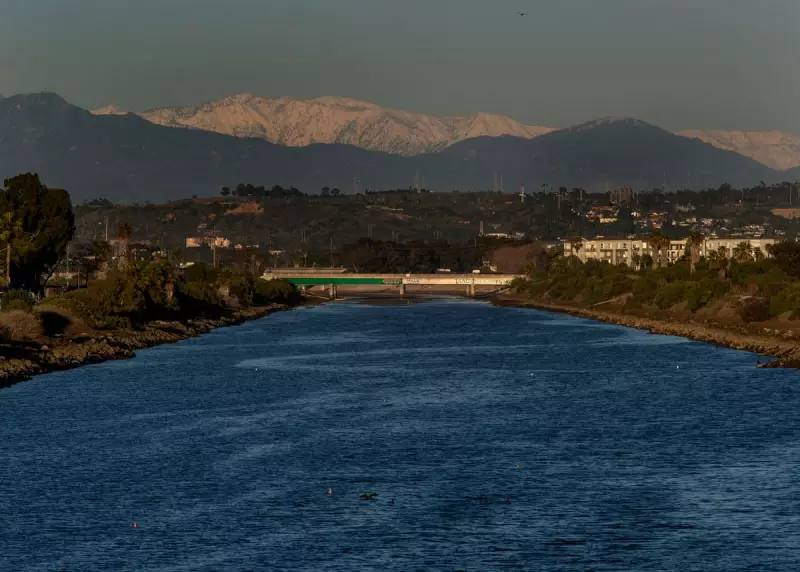 Sea Lion Confetti Recovers in LA After Surviving Two Bullet Wounds to Head