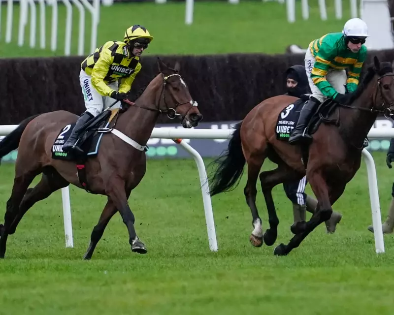 Sir Gino's Pelvic Injury Casts Shadow Over Cheltenham's International Hurdle