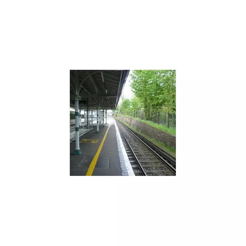 South Croydon Station Snubbed in Disability Upgrades, Blind Charity Warns of Hazards