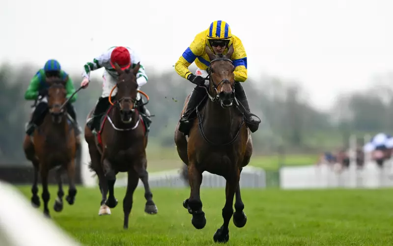 Spindleberry Targets Historic Gold Cup Double at Leopardstown