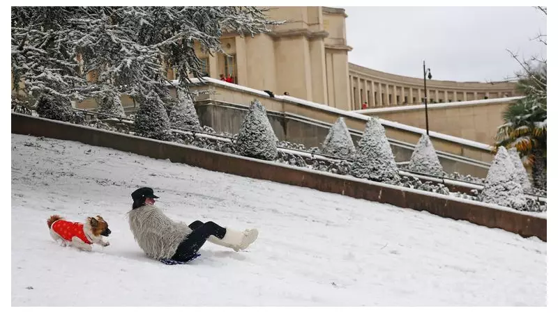 Striking Images of the Week: From Ice Flowers to Dramatic Rescues