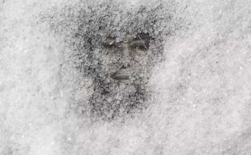 Sweet Thing: Reconstructing a Cuban Family's Past Shaped by Sugar and Slavery