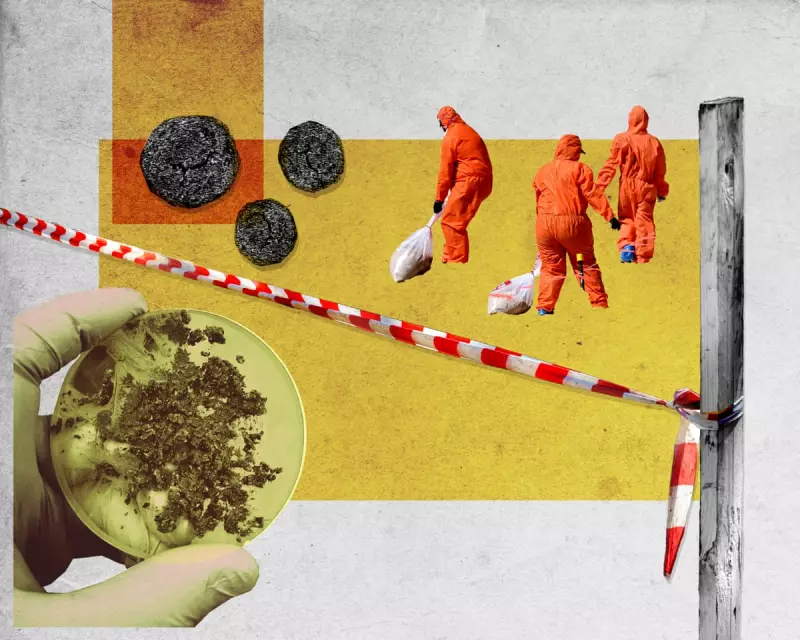 Sydney's $32bn Sewage Overhaul: Ending 'Poo Balls' and Ocean Outfalls