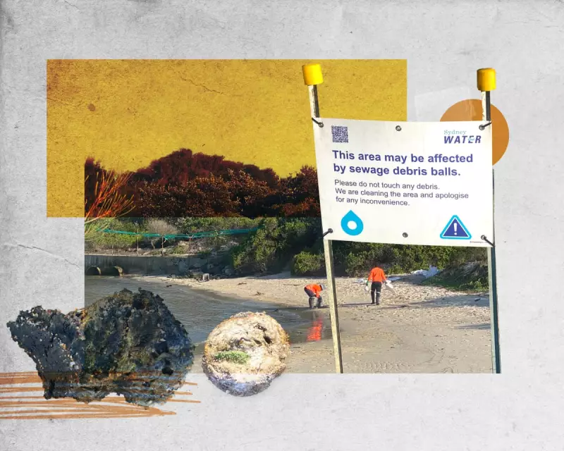 Sydney's Sewage Crisis: Up to 12,000 Businesses Suspected of Illegal Waste Discharge