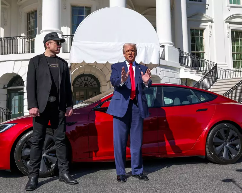 Tesla's EU Sales Slump to 1.4% as Chinese EV Rivals Surge