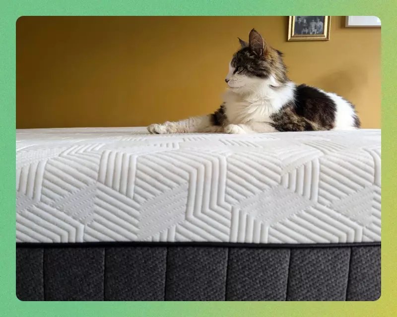 The Best Mattresses of 2026: 12 Rigorously Tested Picks for Superior Sleep