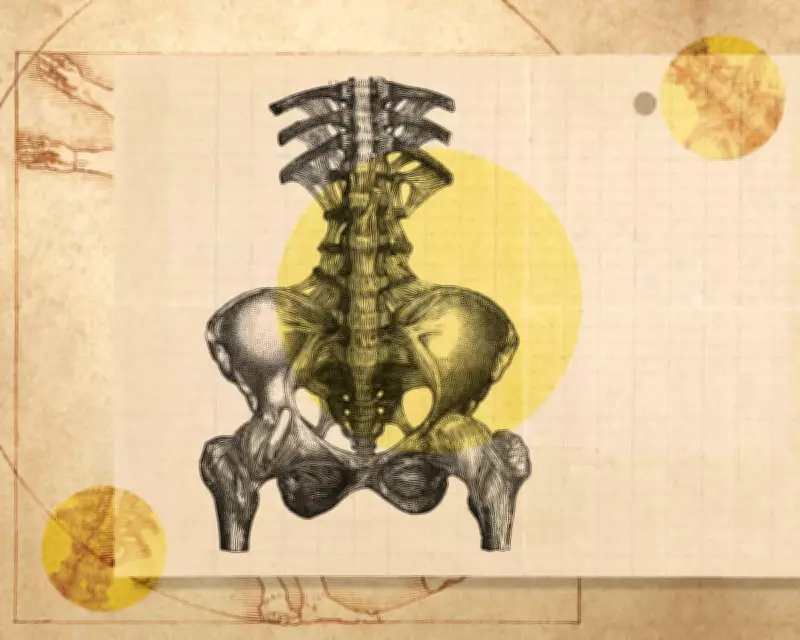 The Hidden Pathway of Back Pain: From Muscle Spasm to Nerve Sensitisation