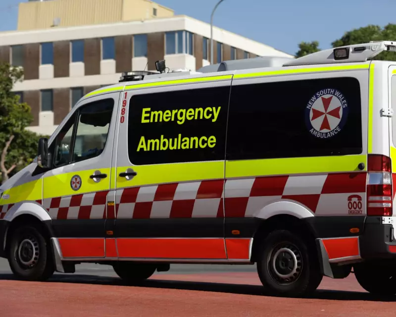 Third Sydney Shark Attack in 48 Hours Leaves Man Critical at Manly Beach