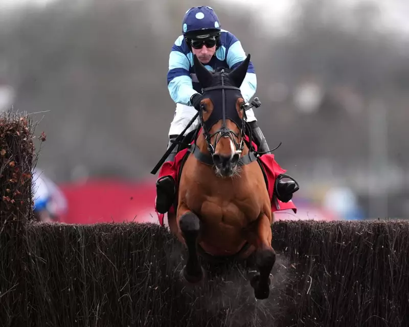Thistle Ask Priced at 5-1 for Clarence House Chase: Is the Favourite Overvalued?