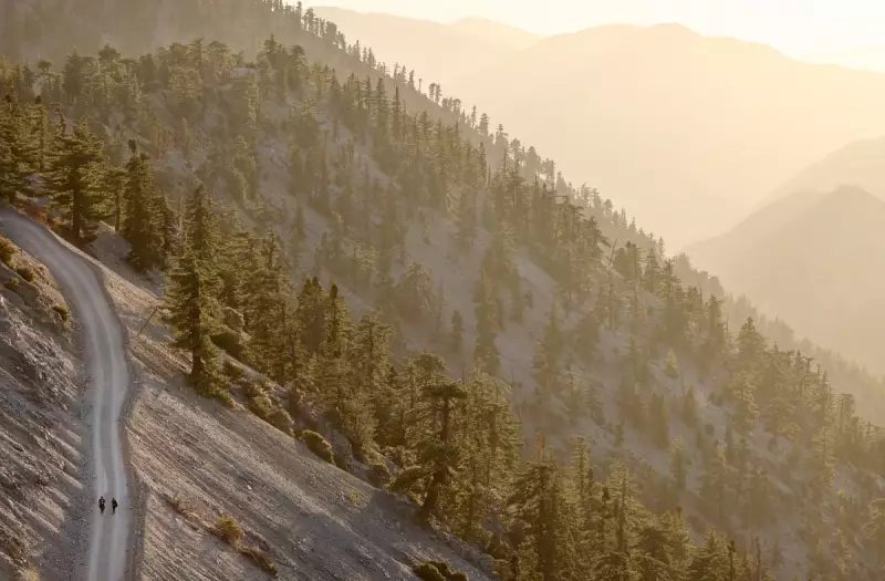 Three Hikers Found Dead on California's Mount Baldy, Including 19-Year-Old Student