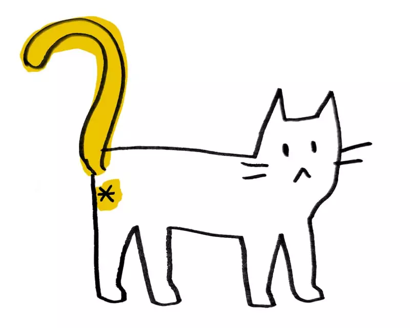 Thursday News Quiz No. 230: New Era with Illustrations After Willow's Exit