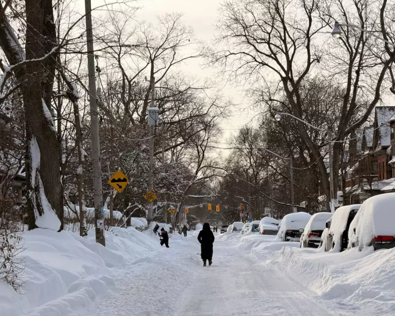 Toronto's Historic Snowfall: City Digs Out After Record Storm