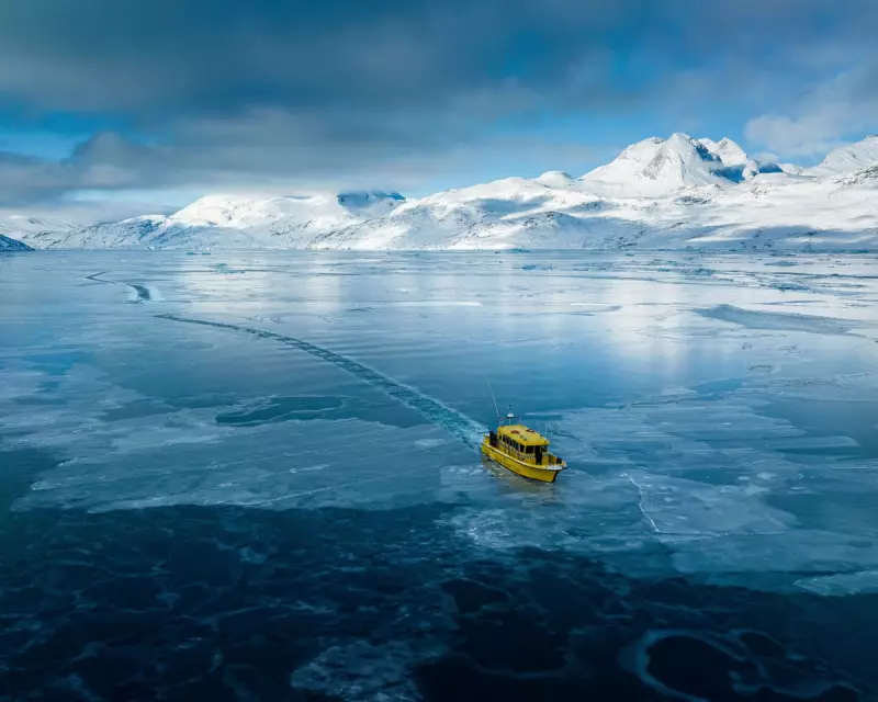 Trump's Greenland Gambit: From Purchase to Invasion – The US Options Analysed