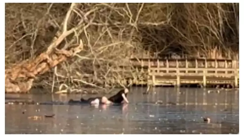 Two Men Stranded in Icy Essex Lake After Attempting Dog Rescue
