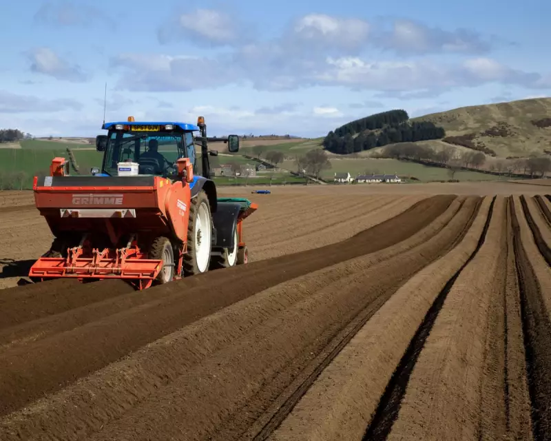 UK Food Security Crisis: Self-Sufficiency Plummets as Farmland Shrinks