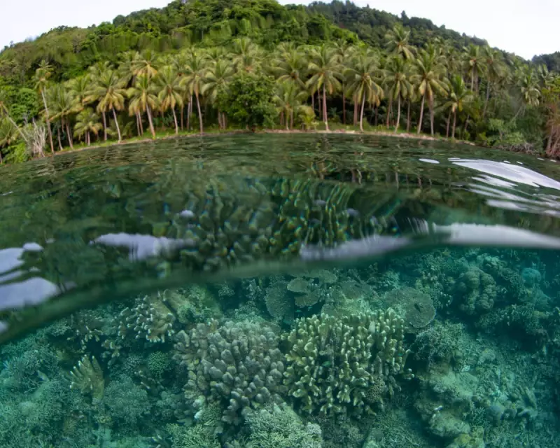 UK Government Criticised for Delaying Action on Biodiversity Collapse