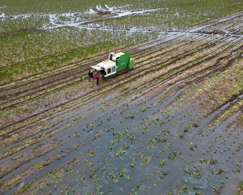 UK Security at Risk from Biodiversity Collapse, Warn Intelligence Chiefs