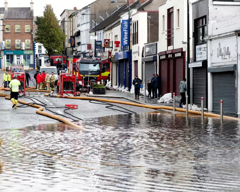 UK Watchdog: Government to Miss 7 in 10 Wildlife Targets by 2030