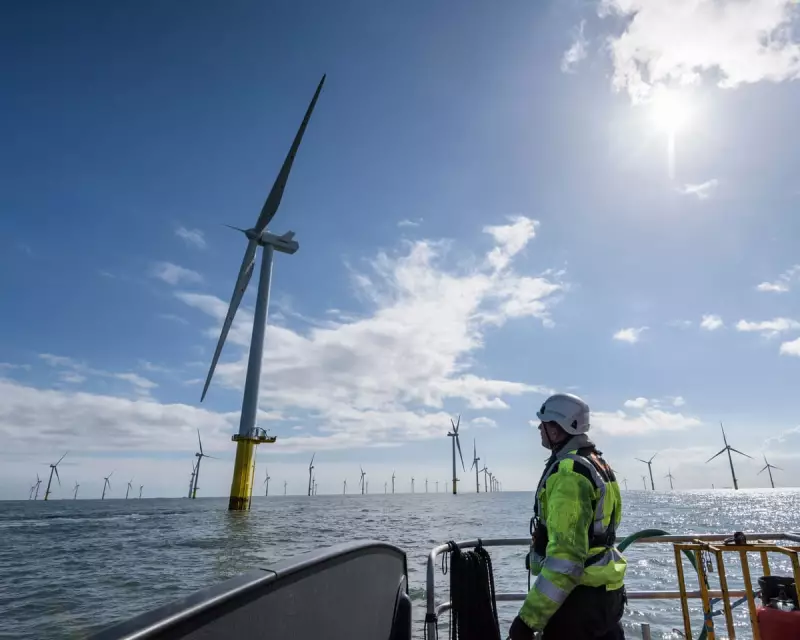 UK's Record 8.4GW Wind Auction Secures Power, But at a Higher Price