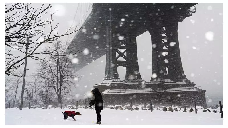 US Winter Storm Chaos: 10,000 Flights Axed, 850,000 Without Power