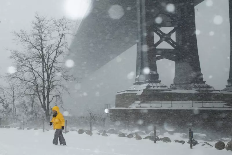 US Winter Storm Claims 15 Lives, Leaves 800,000 Without Power