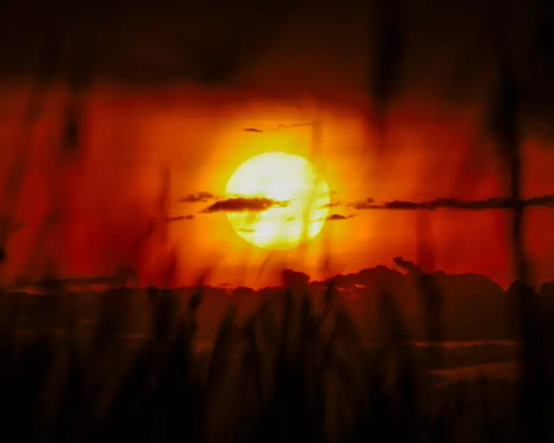 Victoria Braces for Extreme Heatwave and Severe Fire Danger