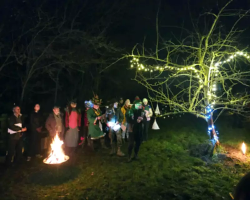 Wassailing Traditions: Somerset's Pagan Apple Tree Rituals