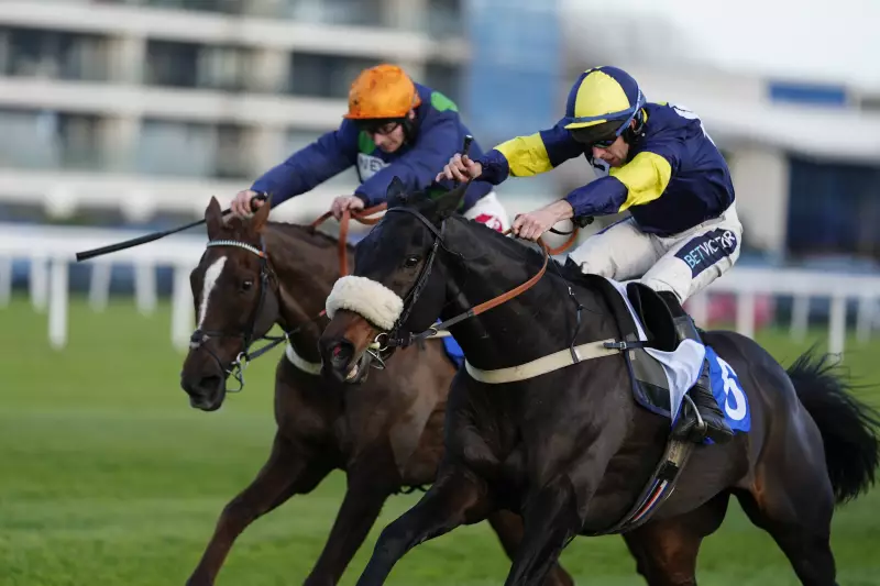 Wendigo at 20/1: The Value Bet for Cheltenham's Brown Advisory Chase